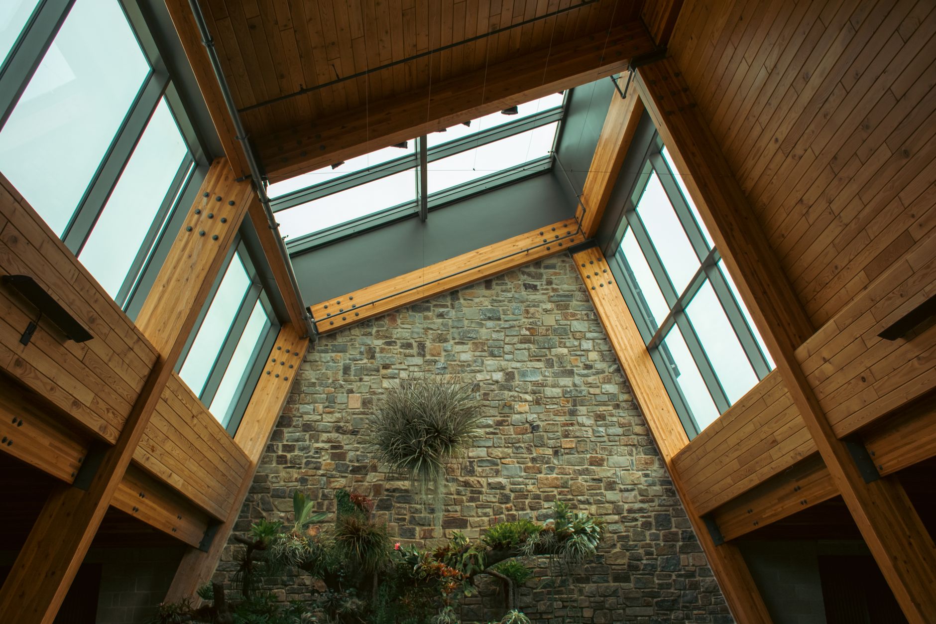 Không gian biophilic design Việt Nam với bình sứ Bát Tràng và cây xanh