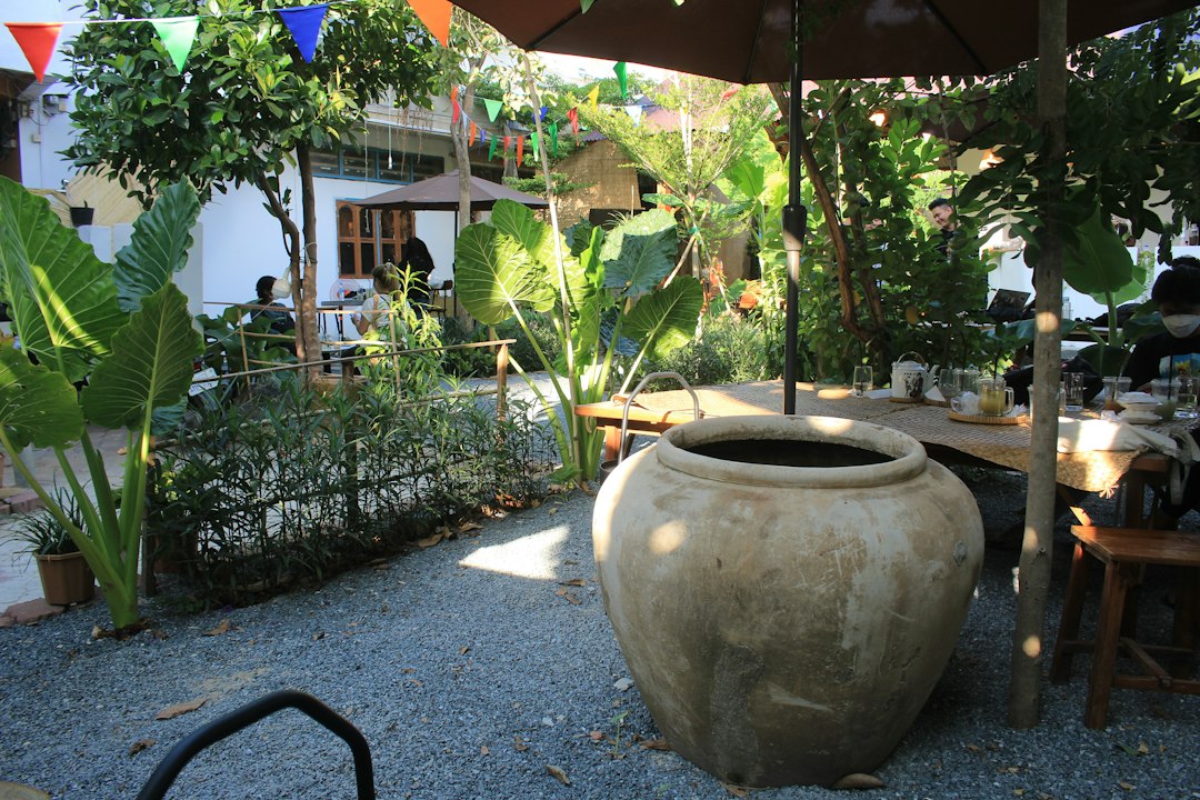 Bộ cốc sứ Bát Tràng Linh Miêu trắng ngà đặt trên quầy pool bar resort nhiệt đới ánh nắng tự nhiên